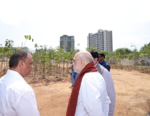 ગાંધીનગર લોકસભા - હરિયાળી લોકસભા  માનનીય કેન્દ્રીય ગૃહ અને સહકાર મંત્રી શ્રી Amit Shah આજે 'એક પેડ મા કે નામ' અભિયાન અંતર્ગત IFFCO દ્વારા આયોજિત વૃક્ષારોપણ કાર્યક્રમમાં સહભાગી થયા અને વૃક્ષારોપણ કર્યું. #EkPedMaaKeNaam
