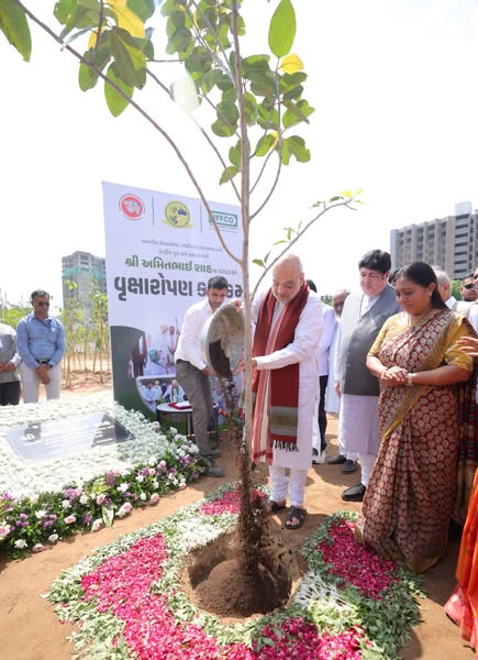 ગાંધીનગર લોકસભા - હરિયાળી લોકસભા  માનનીય કેન્દ્રીય ગૃહ અને સહકાર મંત્રી શ્રી Amit Shah આજે 'એક પેડ મા કે નામ' અભિયાન અંતર્ગત IFFCO દ્વારા આયોજિત વૃક્ષારોપણ કાર્યક્રમમાં સહભાગી થયા અને વૃક્ષારોપણ કર્યું. #EkPedMaaKeNaam