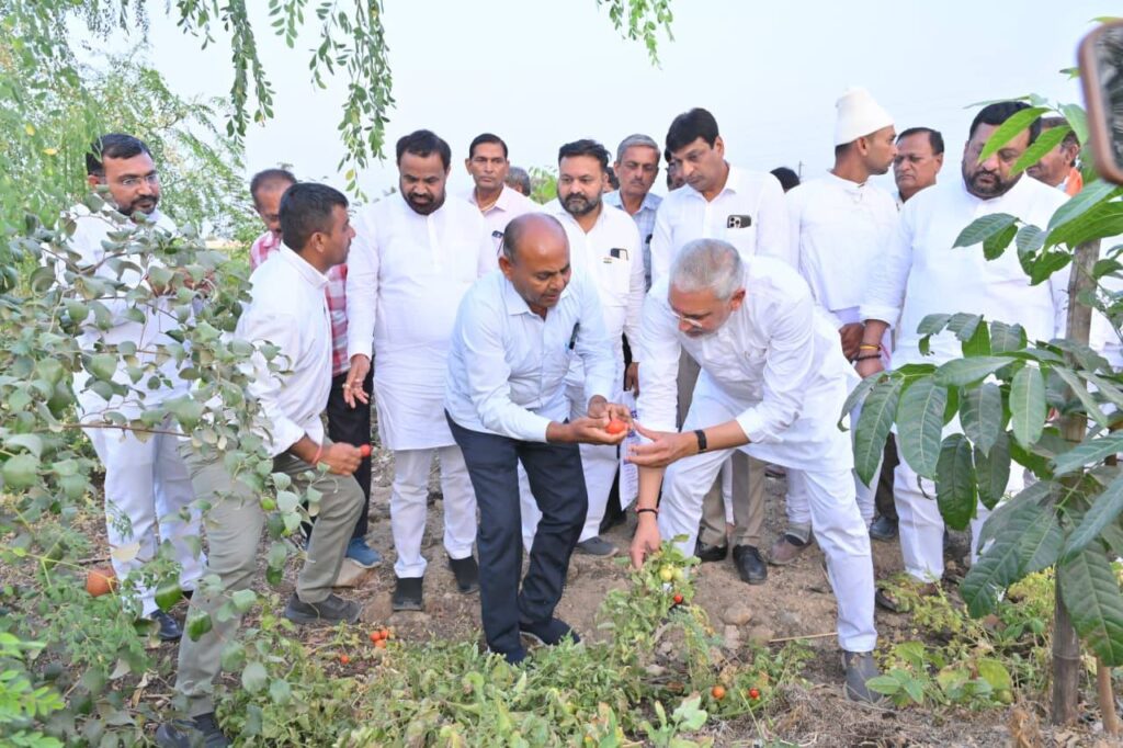 પ્રદેશ અધ્યક્ષ શ્રી જગદીશ પંચાલે  આજે જૂનાગઢના વડાલ ગામે પ્રગતિશીલ ખેડૂતો સાથે મુલાકાત કરી પ્રાકૃતિક ખેતીના અભિયાનને વેગ આપ્યો અને ખેડૂતો દ્વારા તૈયાર કરાયેલા પ્રાકૃતિક ઉત્પાદનોનું નિરીક્ષણ કર્યું. ભાજપ સરકારના નેતૃત્વમાં ગુજરાતનો ખેડૂત હવે પરંપરા અને આધુનિકતાના સમન્વયથી સમૃદ્ધિની નવી દિશા કંડારી રહ્યો છે.