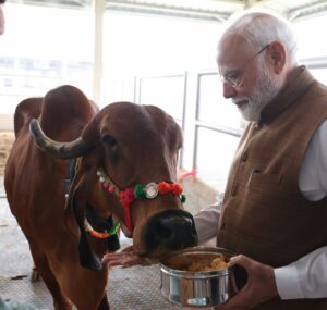 બનાસકાંઠાના ભીલડી ખાતે માનનીય પ્રધાનમંત્રી શ્રી Narendra Modi જીએ ET-IVF લેબોરેટરી અને ભારત બોવાઇન બ્રીડિંગ એન્ડ રિસર્ચ સેન્ટરનું લોકાર્પણ કર્યું.  આ સાથે કેટલ ફાર્મની મુલાકાત લઈ પશુપાલન ક્ષેત્રે થઈ રહેલી આધુનિક પહેલોનું નિરીક્ષણ કર્યું. #KisanKalyanSeRashtraKalyan