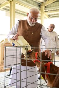 બનાસકાંઠાના ભીલડી ખાતે માનનીય પ્રધાનમંત્રી શ્રી Narendra Modi જીએ ET-IVF લેબોરેટરી અને ભારત બોવાઇન બ્રીડિંગ એન્ડ રિસર્ચ સેન્ટરનું લોકાર્પણ કર્યું.  આ સાથે કેટલ ફાર્મની મુલાકાત લઈ પશુપાલન ક્ષેત્રે થઈ રહેલી આધુનિક પહેલોનું નિરીક્ષણ કર્યું. #KisanKalyanSeRashtraKalyan